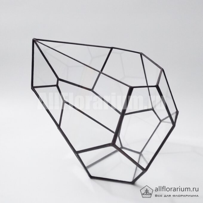 Геометрическая ваза для флорариума Капля асимметричная