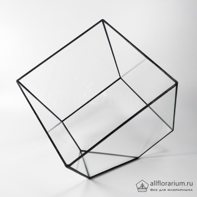 Геометрическая ваза для флорариума Куб усеченный