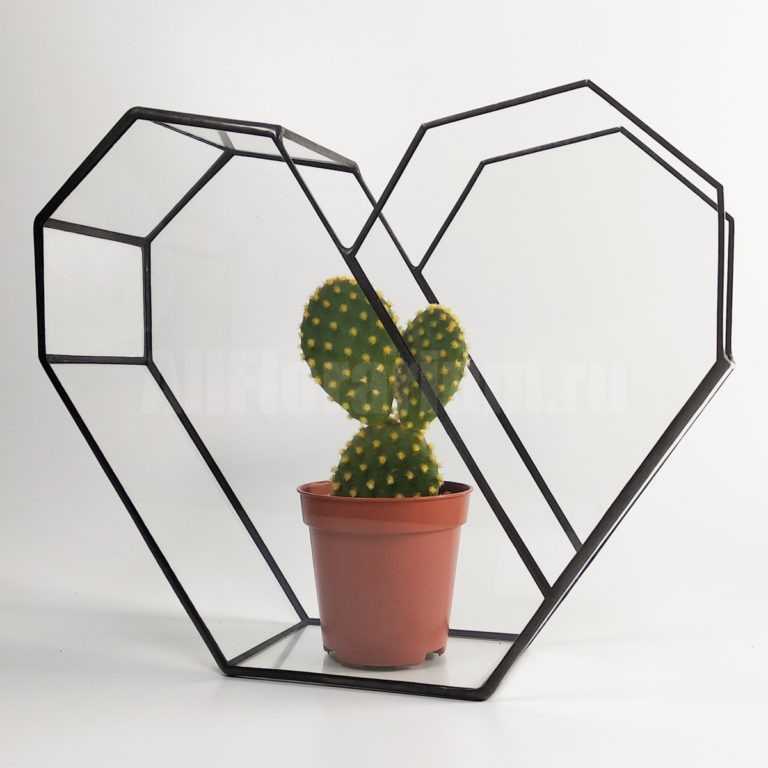 Геометрическая ваза для флорариума Сердце