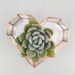 Геометрическая ваза для флорариума Сердце плоское