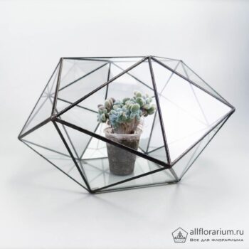Геометрическая ваза Торус флорариум