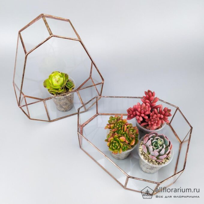 Геометрическая ваза Яйцо плоское и открытое с растениями