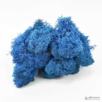 Мох Ягель стабилизированный голубой - Все для флорариума