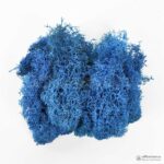 Мох Ягель стабилизированный голубой - Все для флорариума