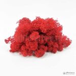 Мох Ягель стабилизированный красный - Все для флорариума