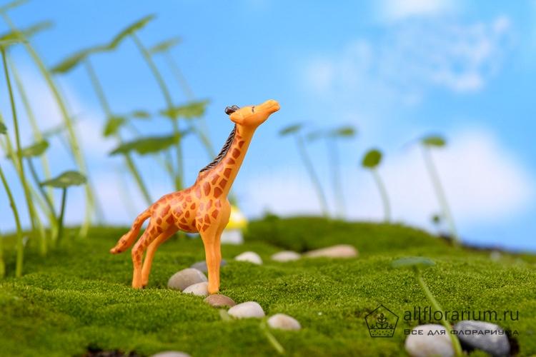 Декоративная фигурка для флорариума Жирафы